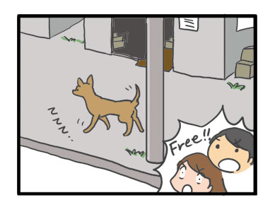 四国 イラスト 吠え ガウリン 犬 旅行 ペット 連れ 宿 まんが マンガ 旅 まんが