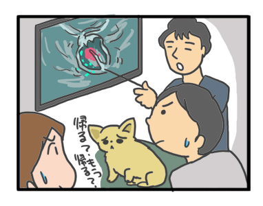 チワワ 老犬 福 吠 おばあちゃん おじいちゃん シニア ペット 心臓 心臓病 クッシング 爺 犬 まんが 漫画 マンガ