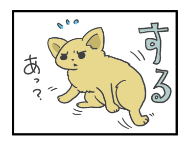 チワワ 老犬 福 吠 おばあちゃん おじいちゃん シニア ペット 床 滑 マット タイル 対策 爺 犬 まんが 漫画 マンガ
