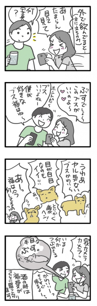 チワワ 老犬 福 吠 ブス ブサイク 好 可愛い 好み ぶす ぶさ 爺 犬 まんが 漫画 マンガ