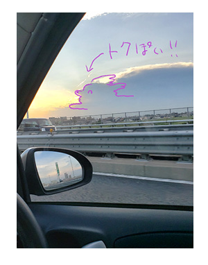 トク マルチーズ スピッツ 老犬 福 吠 おばあちゃん 亡 虹の橋 シニア ペット 心臓 臨終 葬式 骨 焼 まんが 漫画 マンガ