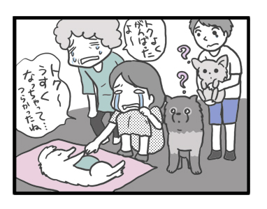 トク マルチーズ スピッツ 老犬 福 吠 おばあちゃん 亡 虹の橋 シニア ペット 心臓 臨終 葬式 骨 焼 まんが 漫画 マンガ