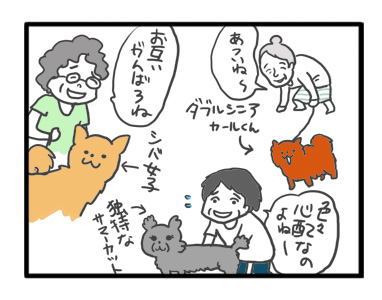 散歩 早朝 朝 友 シニア チワワ 老犬 福 吠 おばあちゃん おじいちゃん シニア ペット 心臓 心臓病 クッシング 爺 犬 まんが 漫画 マンガ