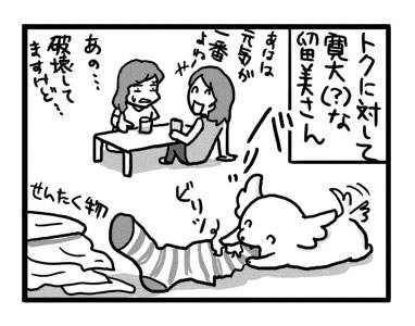 チワワ 老犬 福 吠 おばあちゃん おじいちゃん シニア ペット 思い出 子犬 昔 老人 家族 ファミリー 爺 犬 まんが 漫画 マンガ