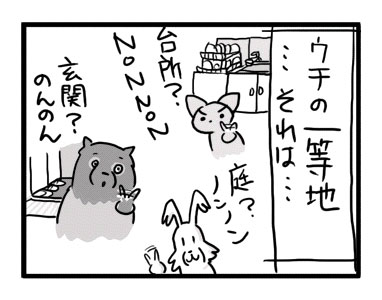 チワワ 老犬 福 吠 おばあちゃん おじいちゃん シニア ペット 思い出 子犬 昔 老人 家族 ファミリー 爺 犬 まんが 漫画 マンガ