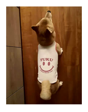 チワワ 老犬 福 吠 シニア ペット 柴 香港 外国 わんこ ワンコ 服 シャツ 冷感 名前 名入 犬 まんが 漫画 マンガ