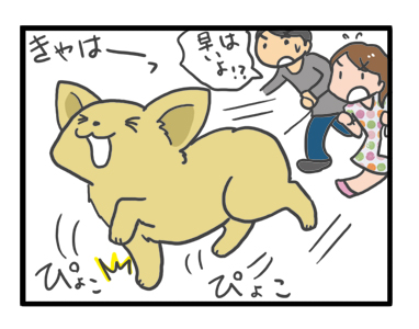 チワワ 老犬 福 吠 フード 変 変化 おじいちゃん シニア ペット 心臓 心臓病 クッシング 爺 犬 まんが 漫画 マンガ
