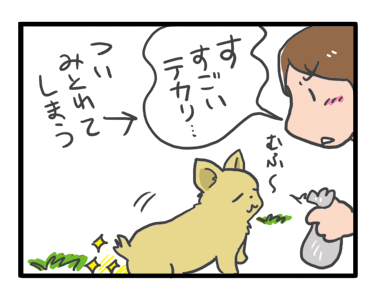 チワワ 老犬 福 吠 フード 変 変化 おじいちゃん シニア ペット 心臓 心臓病 クッシング 爺 犬 まんが 漫画 マンガ
