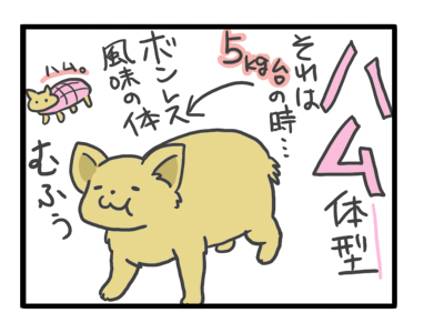 チワワ 老犬 福 吠 フード 変 変化 おじいちゃん シニア ペット 心臓 心臓病 クッシング 爺 犬 まんが 漫画 マンガ