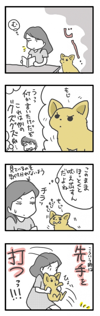 チワワ 老犬 福 吠 ぐずぐず 甘え 抱っこ シニア ペット 心臓 心臓病 クッシング 爺 犬 まんが 漫画 マンガ