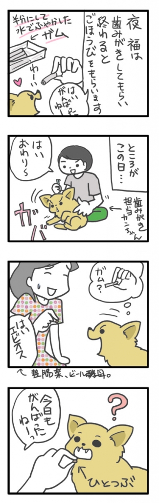 チワワ 老犬 福 吠 おばあちゃん おじいちゃん シニア ペット 歯 ケア オーラル ガム ご褒美 爺 犬 まんが 漫画 マンガ