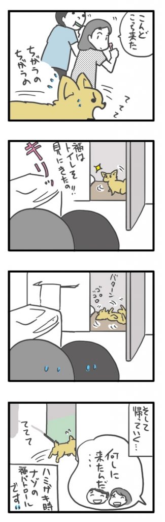 チワワ 老犬 福 吠 おじいちゃん シニア ペット 歯磨き 口臭 見に ブラシ 爺 犬 まんが 漫画 マンガ