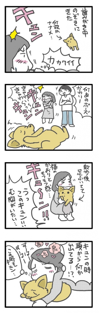 チワワ 老犬 福 吠 おじいちゃん シニア ペット アンチ 老化 防止 若 返 オキシトシン ホルモン 爺 犬 まんが 漫画 マンガ