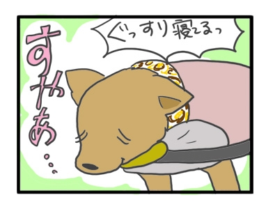 チワワ 老犬 福 吠 旅 しっぽ ドッグ フェスタ イベント 立川 sippo シニア ペット 心臓 爺 犬 まんが 漫画 マンガ