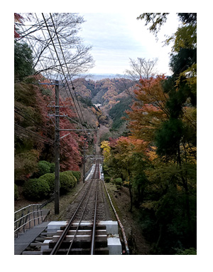 チワワ わんこ 老犬 福 吠 シニア ペット 高尾山 たかお 紅葉 秋 山 登山 犬 イラスト 絵 まんが 漫画 マンガ