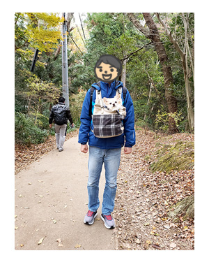 チワワ わんこ 老犬 福 吠 シニア ペット 高尾山 たかお 紅葉 秋 山 登山 犬 イラスト 絵 まんが 漫画 マンガ