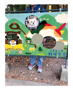 チワワ わんこ 老犬 福 吠 シニア ペット 高尾山 たかお 紅葉 秋 山 登山 犬 イラスト 絵 まんが 漫画 マンガ
