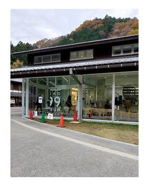 チワワ わんこ 老犬 福 吠 シニア ペット 高尾山 たかお 紅葉 秋 山 登山 犬 イラスト 絵 まんが 漫画 マンガ