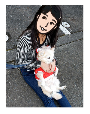 チワワ 老犬 福 吠 小学生 犬 慣れ 撫で 嬉しい ガウリン 人嫌い 爺 犬 まんが 漫画 マンガ