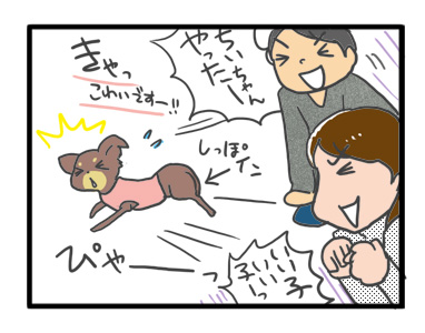犬 チワワ 心臓病 保護権 多頭 小 ちぃ ちい あーち アーチ 千葉 arch 引取 保健所 老犬 福 吠 シニア ペット 心臓 犬 イラスト 絵 まんが 漫画 マンガ