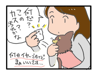 犬 チワワ 心臓病 保護権 多頭 小 ちぃ ちい あーち アーチ 千葉 arch 引取 保健所 老犬 福 吠 シニア ペット 心臓 犬 イラスト 絵 まんが 漫画 マンガ