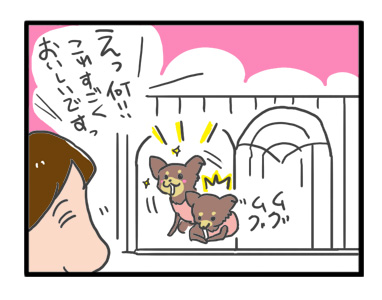 犬 チワワ 心臓病 保護権 多頭 小 ちぃ ちい あーち アーチ 千葉 arch 引取 保健所 老犬 福 吠 シニア ペット 心臓 犬 イラスト 絵 まんが 漫画 マンガ