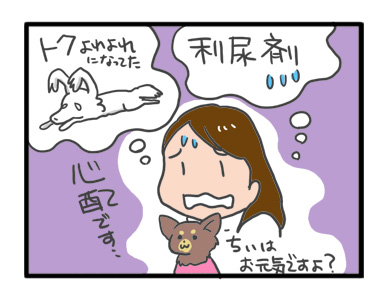 犬 チワワ 心臓病 保護権 多頭 小 ちぃ ちい 慣れ トイレ 引取 保健所 老犬 福 吠 シニア ペット 心臓 犬 イラスト 絵 まんが 漫画 マンガ