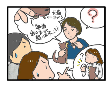 犬 チワワ 心臓病 保護権 多頭 小 ちぃ ちい 慣れ トイレ 引取 保健所 老犬 福 吠 シニア ペット 心臓 犬 イラスト 絵 まんが 漫画 マンガ