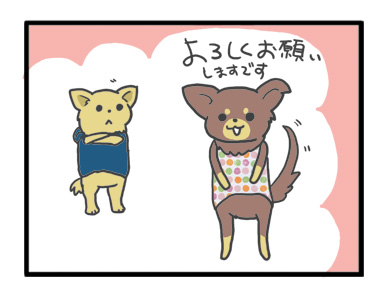 犬 チワワ 心臓病 保護犬 レスキュー ほご 捨て 多頭 小 ちぃ ちい 慣れ トイレ 引取 保健所 老犬 福 吠 シニア ペット 心臓 犬 イラスト 絵 まんが 漫画 マンガ
