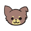 ちぃ 保護犬 チワワ チョコタン