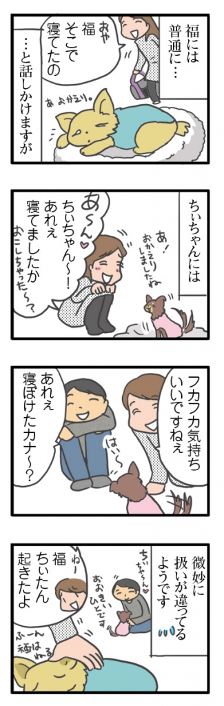 犬 チワワ 心臓病 保護犬 レスキュー ほご 捨て 多頭 小 ちぃ ちい 慣れ トイレ 引取 保健所 老犬 福 吠 シニア ペット 心臓 犬 イラスト 絵 まんが 漫画 マンガ