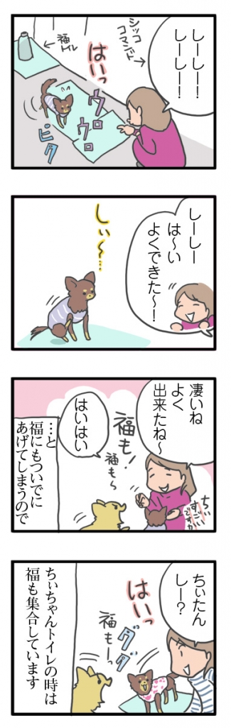 犬 チワワ 心臓病 保護犬 レスキュー ほご 捨て 多頭 小 ちぃ ちい 慣れ トイレ 引取 保健所 老犬 福 吠 シニア ペット 心臓 犬 イラスト 絵 まんが 漫画 マンガ