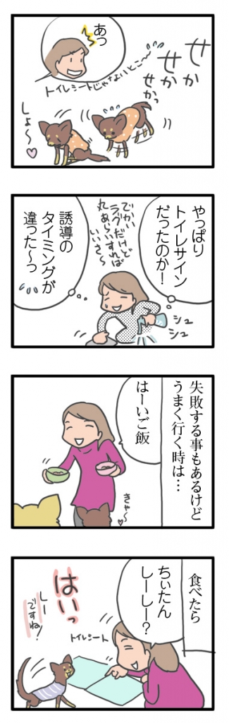 犬 チワワ 心臓病 保護犬 レスキュー ほご 捨て 多頭 小 ちぃ ちい 慣れ トイレ 引取 保健所 老犬 福 吠 シニア ペット 心臓 犬 イラスト 絵 まんが 漫画 マンガ