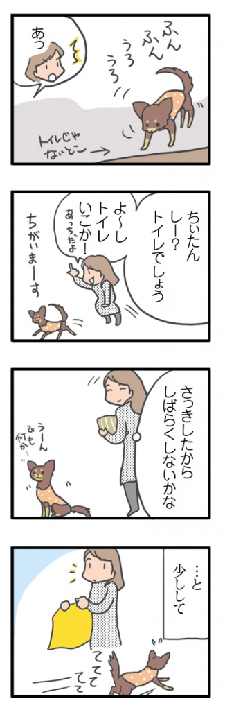 犬 チワワ 心臓病 保護犬 レスキュー ほご 捨て 多頭 小 ちぃ ちい 慣れ トイレ 引取 保健所 老犬 福 吠 シニア ペット 心臓 犬 イラスト 絵 まんが 漫画 マンガ