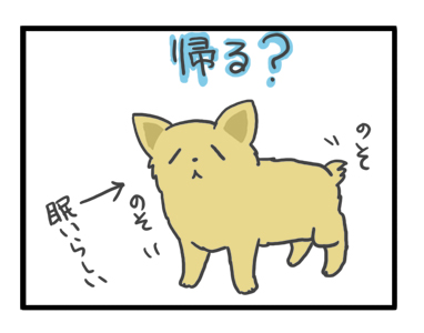 犬 チワワ 心臓病 保護犬 レスキュー ほご 捨て 手術 オペ 埼玉 ジャスミン JASMINE 多頭 小 ちぃ ちい 慣れ トイレ 引取 保健所 老犬 福 吠 シニア ペット 心臓 犬 イラスト 絵 まんが 漫画 マンガ
