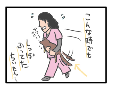犬 チワワ 心臓病 保護犬 レスキュー ほご 捨て 手術 オペ 埼玉 ジャスミン JASMINE 多頭 小 ちぃ ちい 慣れ トイレ 引取 保健所 老犬 福 吠 シニア ペット 心臓 犬 イラスト 絵 まんが 漫画 マンガ
