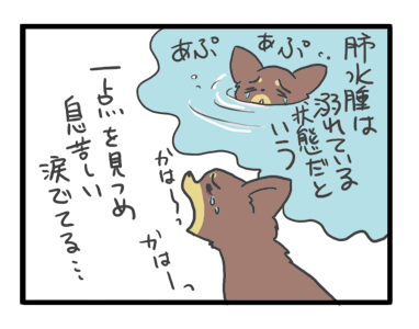 犬 チワワ 心臓病 保護犬 レスキュー ほご 捨て 手術 オペ 埼玉 ジャスミン JASMINE 多頭 小 ちぃ ちい 慣れ トイレ 引取 保健所 老犬 福 吠 シニア ペット 心臓 犬 イラスト 絵 まんが 漫画 マンガ