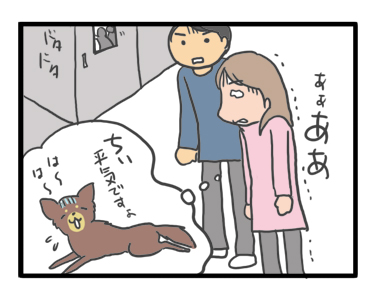 犬 チワワ 心臓病 保護犬 レスキュー ほご 捨て 手術 オペ 埼玉 ジャスミン JASMINE 多頭 小 ちぃ ちい 慣れ トイレ 引取 保健所 老犬 福 吠 シニア ペット 心臓 犬 イラスト 絵 まんが 漫画 マンガ