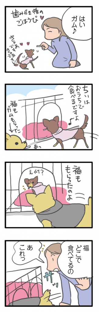 犬 チワワ 心臓病 入院 退院 肺水腫 肺 保護犬 ほご 手術 老犬 福 吠 シニア イラスト 絵 まんが 漫画 マンガ