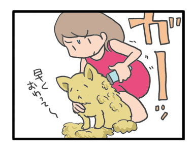 犬 心臓病 保護 手術 心臓 僧帽弁閉鎖不全症 僧帽弁 サマー カット 老犬 トリミング イラスト 絵 まんが 漫画 マンガ