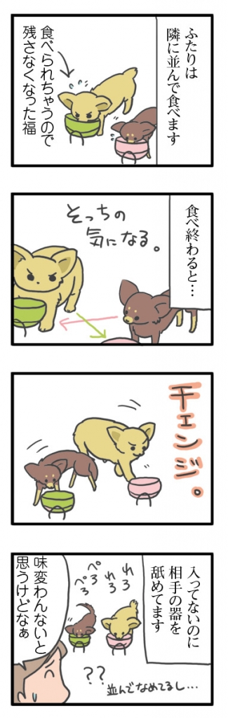 犬 心臓病 保護犬 老犬 チワワ 多頭 手術 僧帽弁閉鎖不全症 元保護犬 引取 埼玉 イラスト 絵 まんが 漫画 マンガ