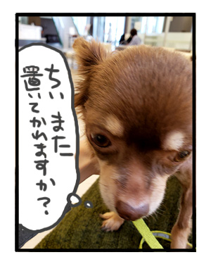 犬 心臓病 保護犬 吐 急性 胃炎 吐き止 点滴 急患 チワワ 多頭 手術 元保護犬 引取 埼玉 イラスト 絵 まんが 漫画 マンガ