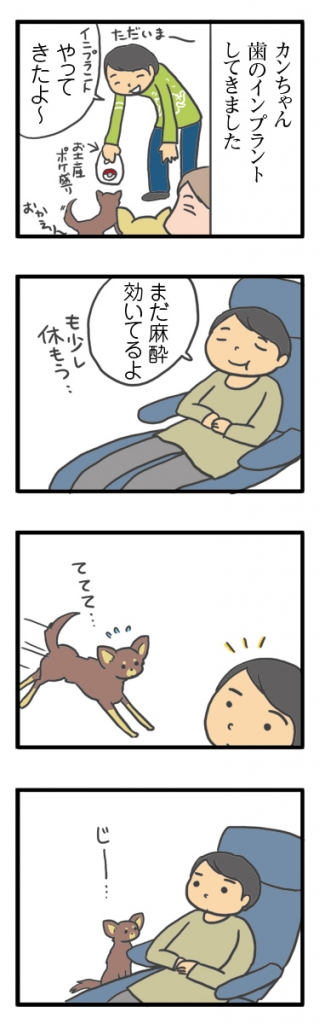 犬 心臓病 保護犬 老犬 チワワ 多頭 心配 心配してくれる 下痢 胃腸炎 治療 我慢 イラスト 絵 まんが 漫画 マンガ