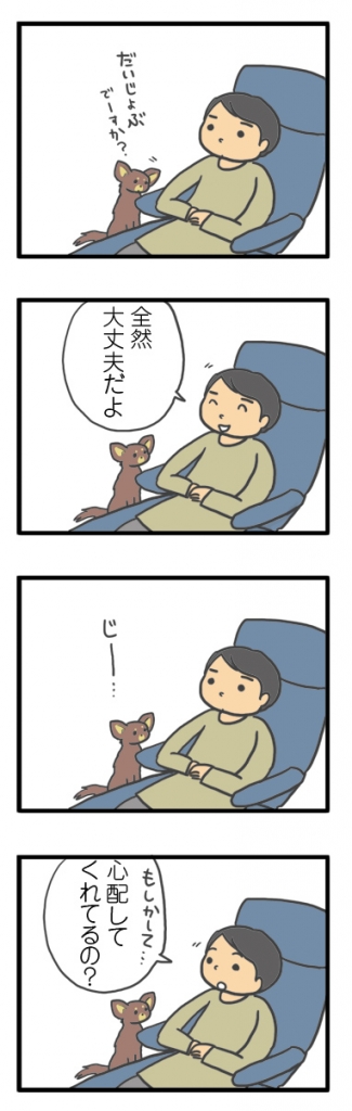 犬 心臓病 保護犬 老犬 チワワ 多頭 心配 心配してくれる 下痢 胃腸炎 治療 我慢 イラスト 絵 まんが 漫画 マンガ