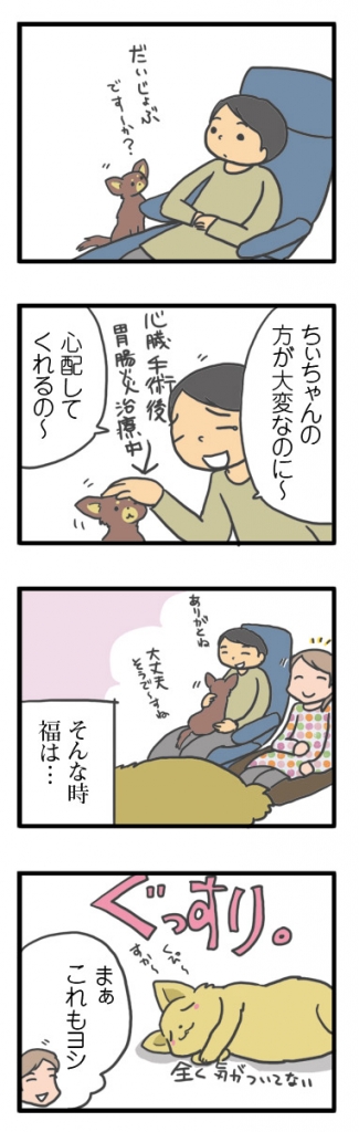 犬 心臓病 保護犬 老犬 チワワ 多頭 心配 心配してくれる 下痢 胃腸炎 治療 我慢 イラスト 絵 まんが 漫画 マンガ