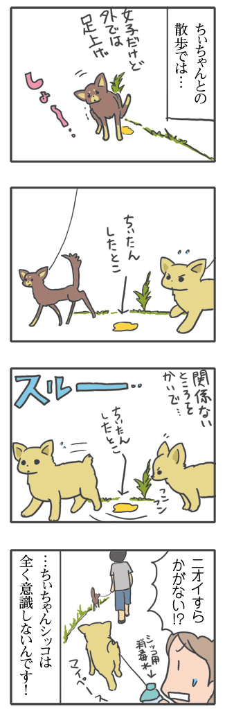 犬 散歩 上書 うわがき おしっこ シッコ マウント 心臓病 保護犬 老犬 チワワ 多頭 治療 イラスト 絵 まんが 漫画 マンガ