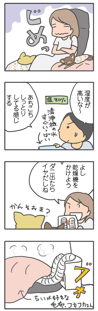 犬 サウナ 乾燥機 乾燥 布団 暑い 温か アイリス 同居 ワン 心臓病 甘え 慣れ 里親 保護犬 老犬 チワワ 多頭 手術 元保護犬 イラスト 絵 まんが 漫画 マンガ