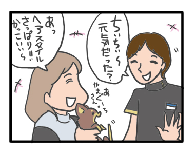 犬 心臓手術 検診 二ヶ月 埼玉 医療 センター 菅野先生 心臓病 フィラリア 保護犬 老犬 チワワ イラスト 絵 まんが 漫画 マンガ