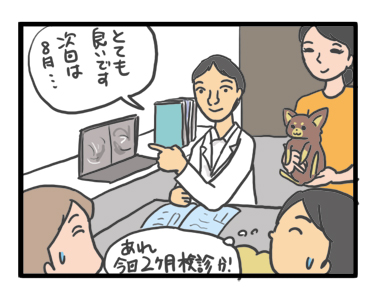 犬 心臓手術 検診 二ヶ月 埼玉 医療 センター 菅野先生 心臓病 フィラリア 保護犬 老犬 チワワ イラスト 絵 まんが 漫画 マンガ