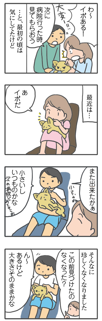 犬 あるある 老犬 老人 高齢 爺 婆 ワン いぼ イボ できもの 疣 心臓病 里親 保護犬 チワワ 元保護犬 イラスト 絵 まんが 漫画 マンガ